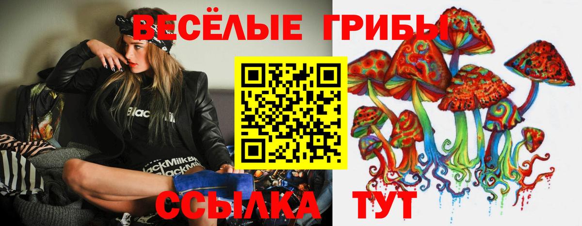 магазин продажи   Псилоцибиновые грибы MAGIC MUSHROOMS  Вход с VPN  Красноуфимск  Псилоцибиновые грибы Psilocybine cubensis 