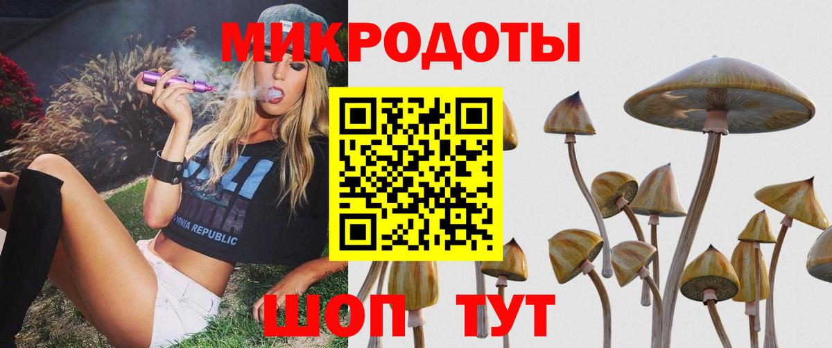 Галлюциногенные грибы MAGIC MUSHROOMS Красноуфимск